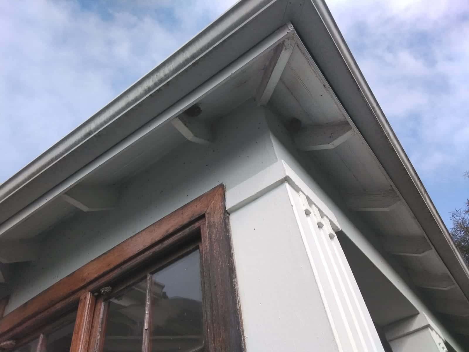 Wasp nests under a roofline eave in Rondebosch