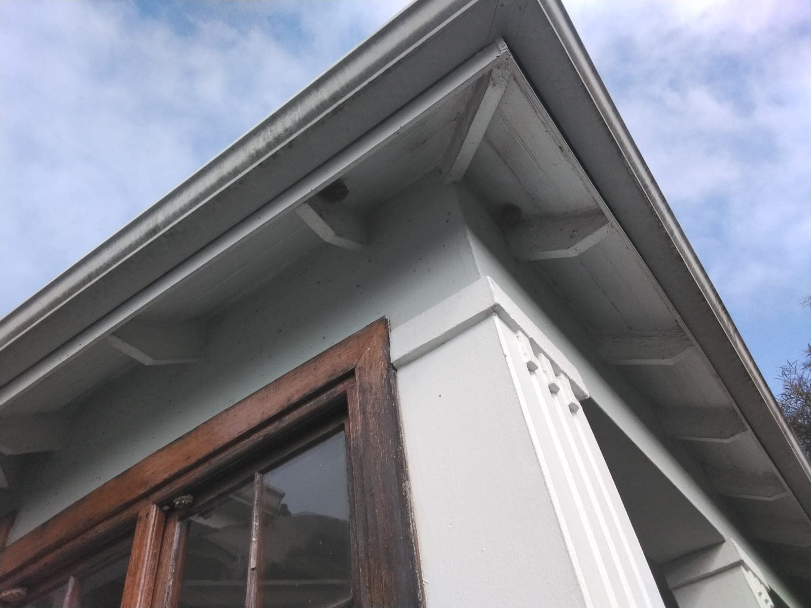 A wasp nest removed from a Rondebosch property