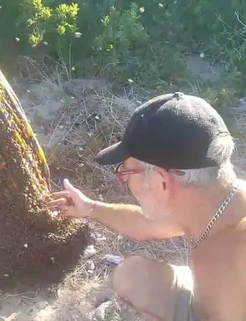 Charles inspecting a nest on a callout